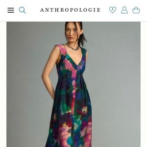 NWT Anthropologie Printed V -Neck Pleated A-Line Dress